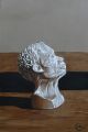 Ivory study